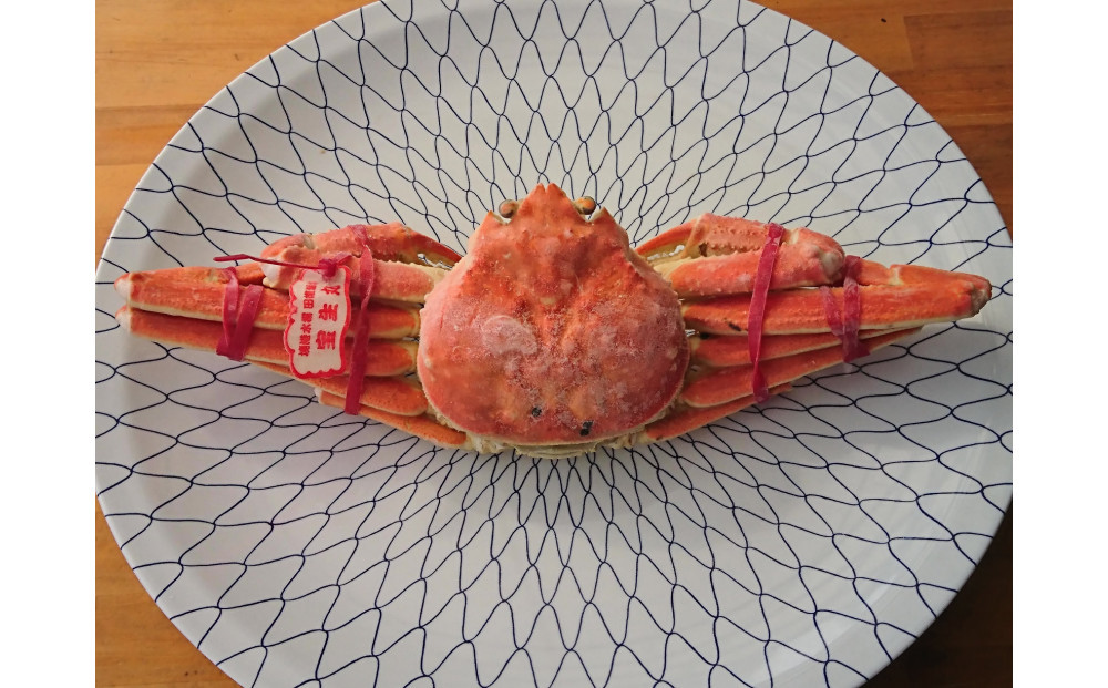 カニ 松葉ガニ ボイル 冷凍 カニ酢付き 1枚(約500g) 