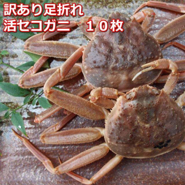 活き訳あり足折れご自宅用　日本海産親ガニセコガ二10枚MK15