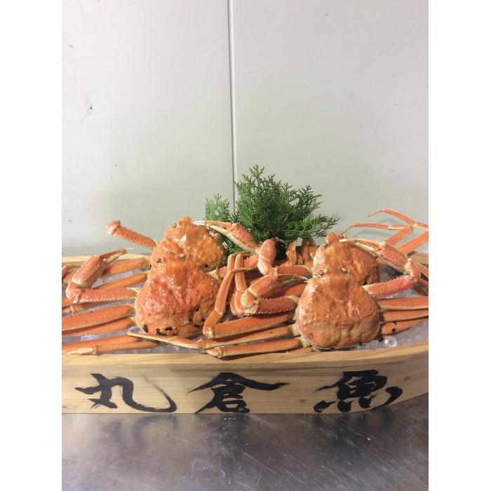 【魚倉】松葉がに ボイル おまかせセット ３kg訳あり