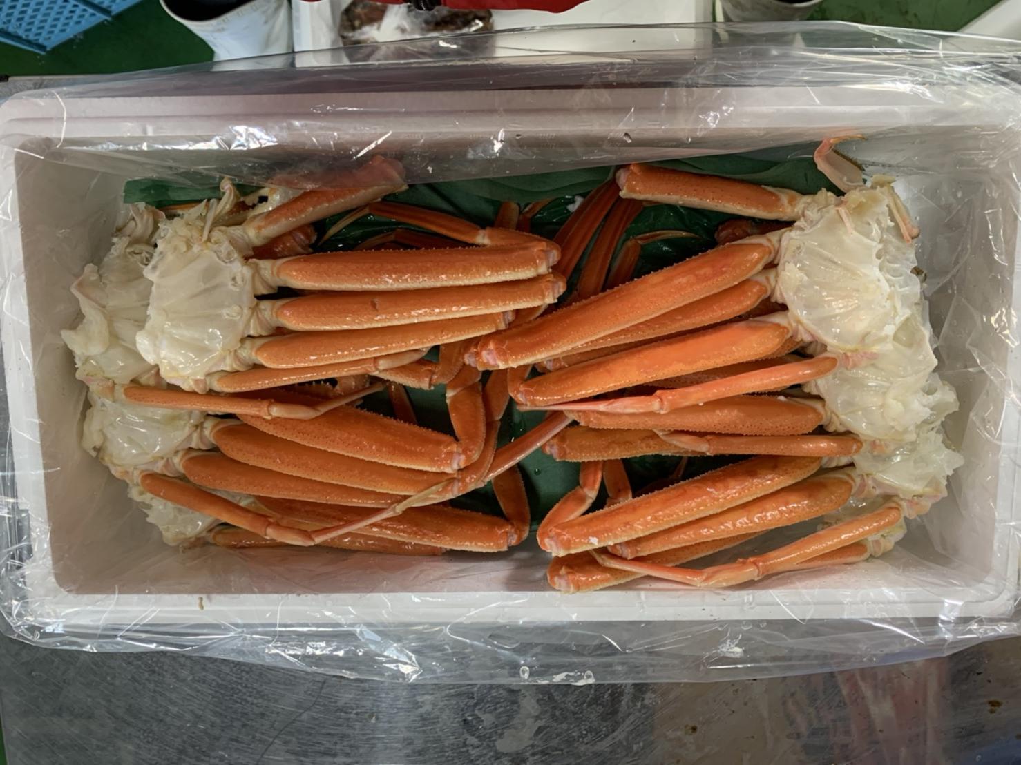 【先行予約】【魚倉】ボイル若松葉ガニ ４尾分８肩(足１～２本なし含む)