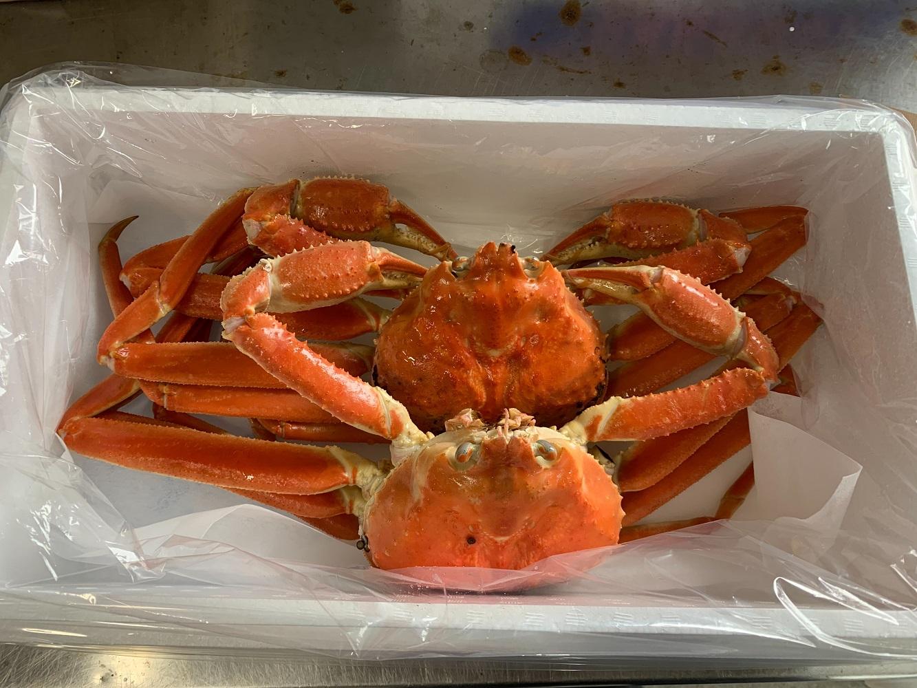 【魚倉】訳ありボイル松葉ガニ２枚セット