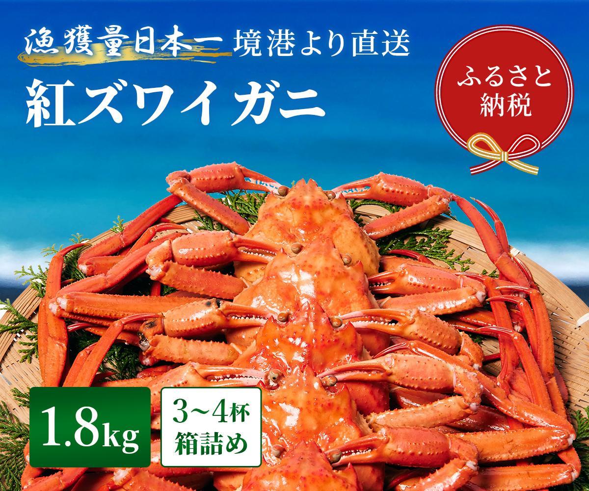 【 先行予約 2026年1月中旬以降発送 】【蟹セレブ】ズワイガニ（紅ズワイガニ）】1.8kg箱詰め（3～4杯）