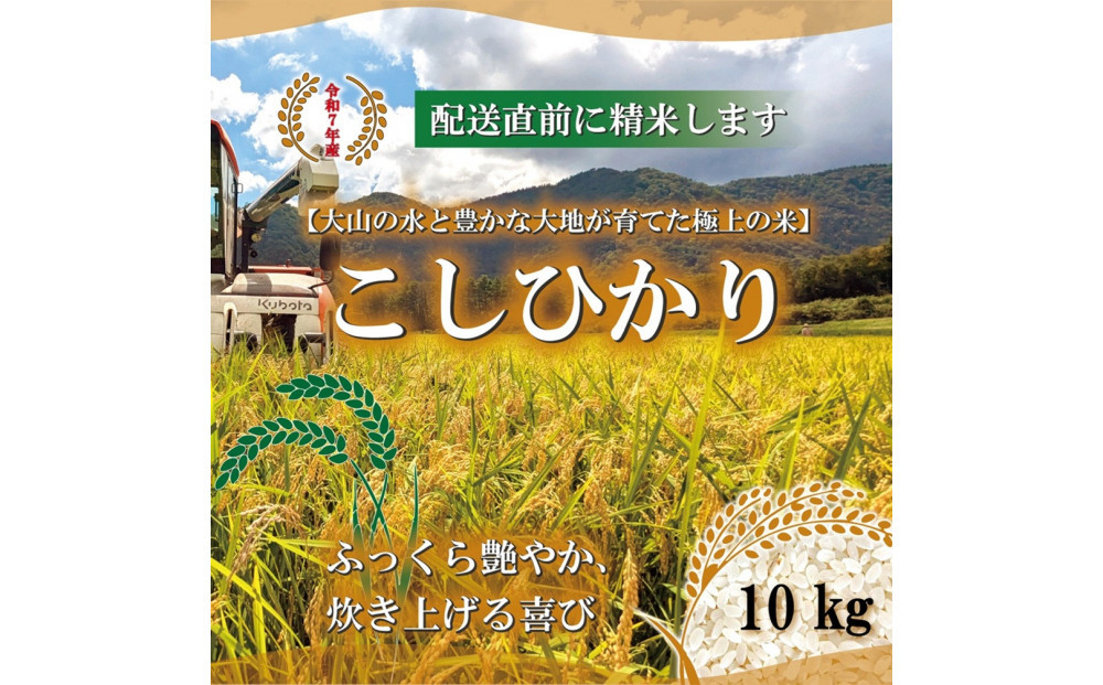 令和7年 鳥取県産 こしひかり 10kg