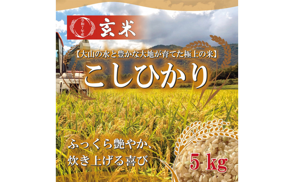 令和7年 鳥取県産 こしひかり玄米5kg