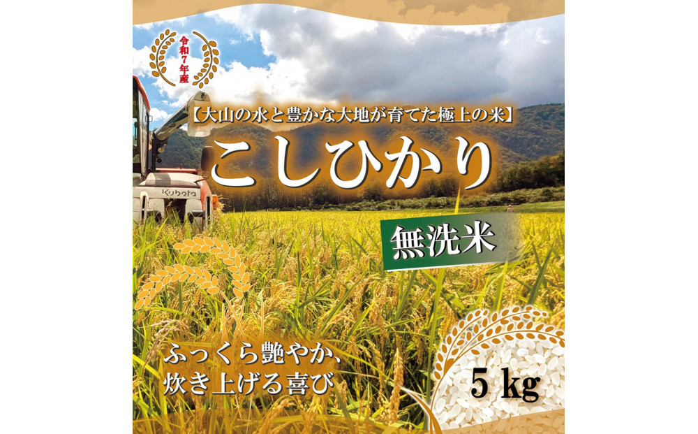 令和7年 鳥取県産 こしひかり無洗米5kg