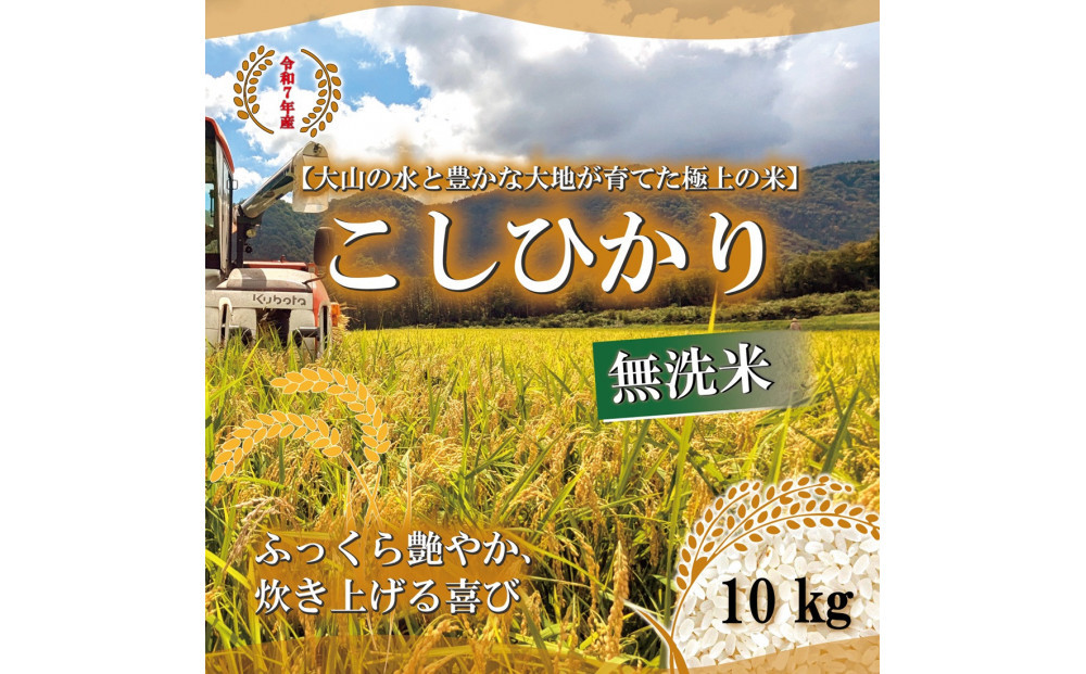 令和7年 鳥取県産 こしひかり無洗米10kg