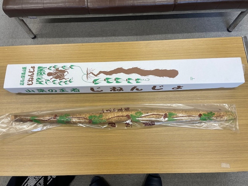 三朝町産 自然薯（約1ｋｇ）