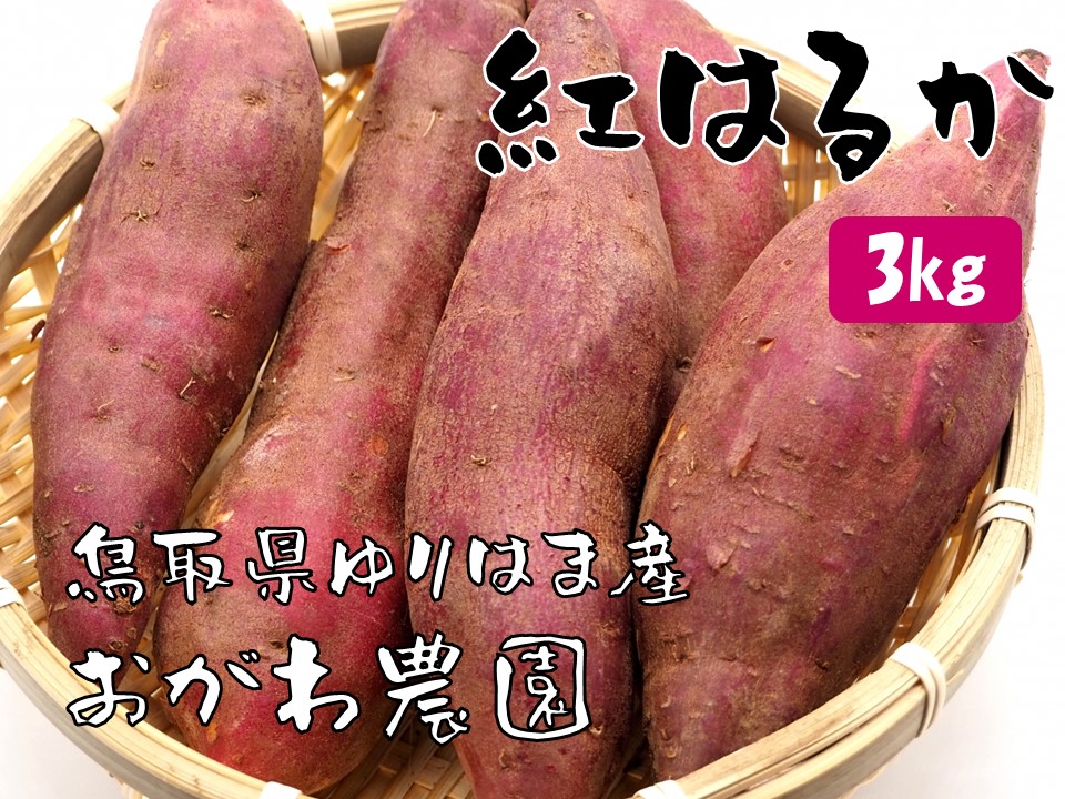 131K.おがわ農園 紅はるか3kg