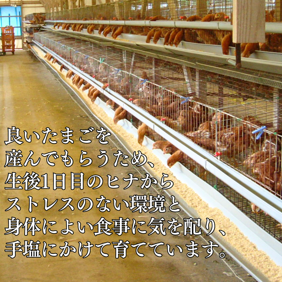 134K.セレブの気持ち80個