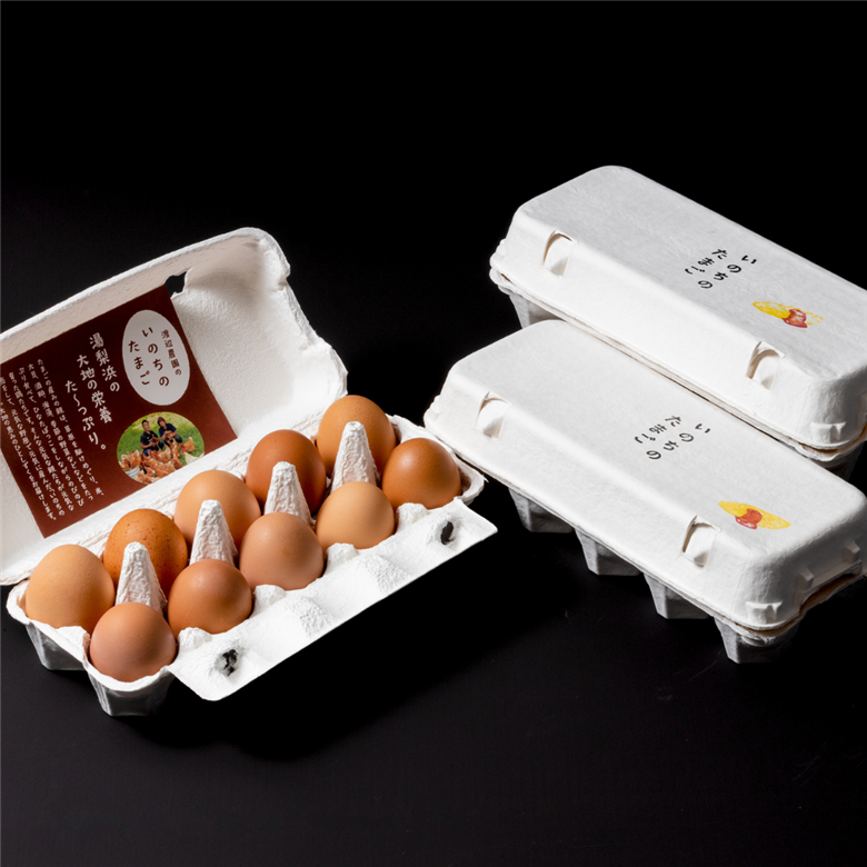 136K.平飼い鶏の『いのちのたまご』60個
