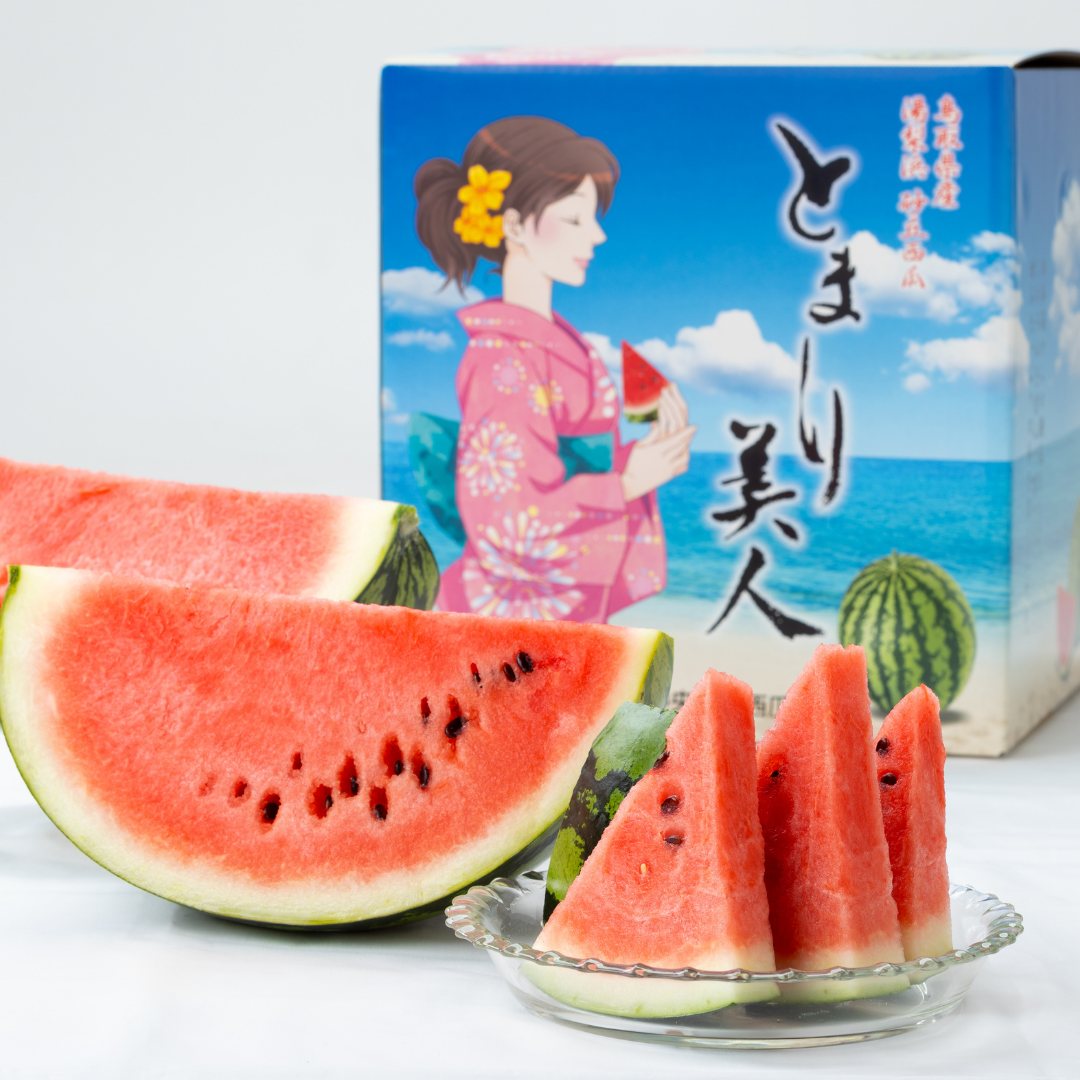 19K.とまり美人西瓜 2L