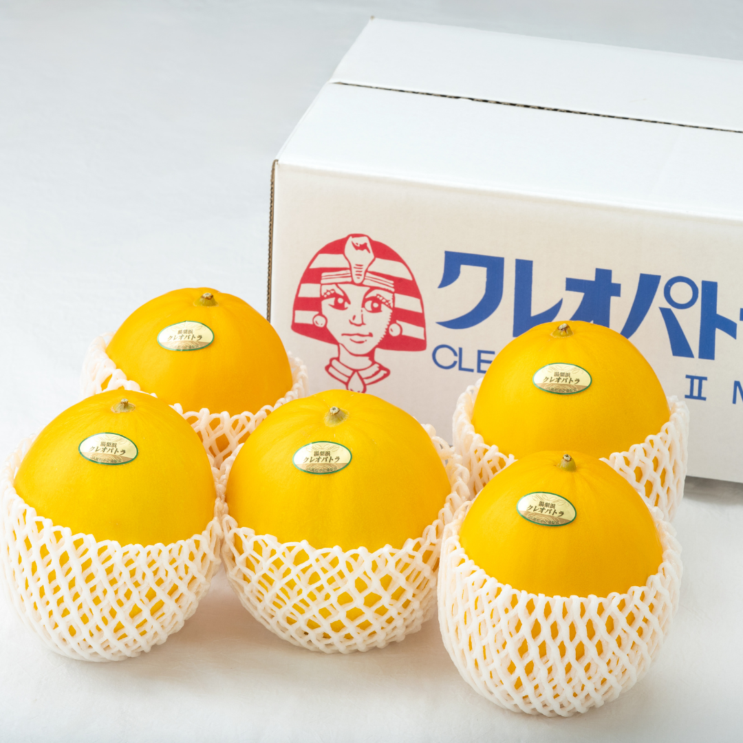 20K.湯梨浜クレオパトラⅡメロン5kg