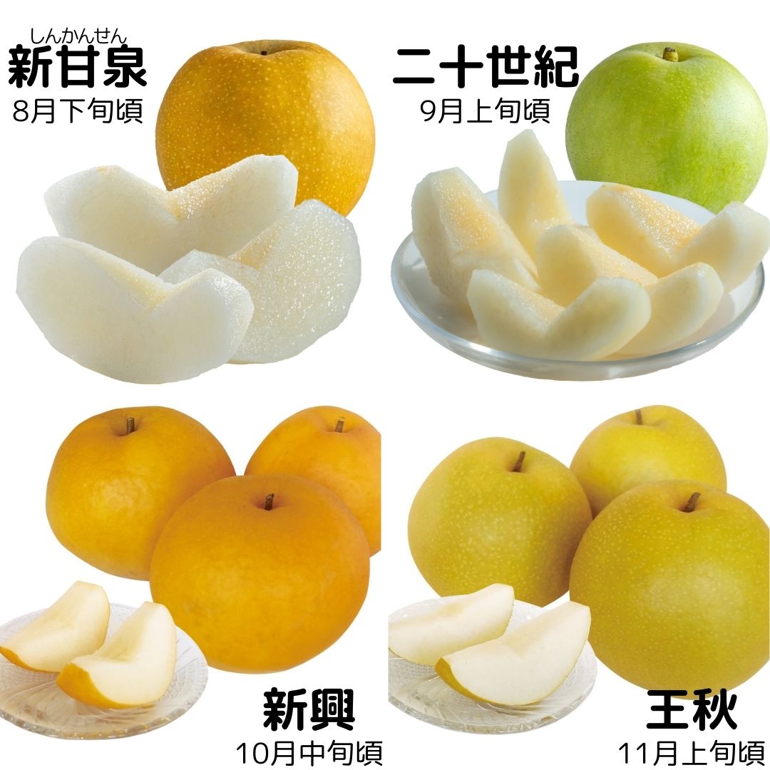 16K.ゆりはま梨セット