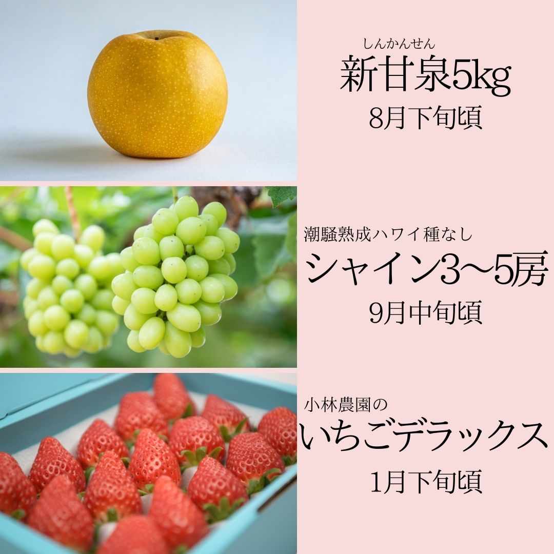 39K.ゆりはまフルーツ定期C