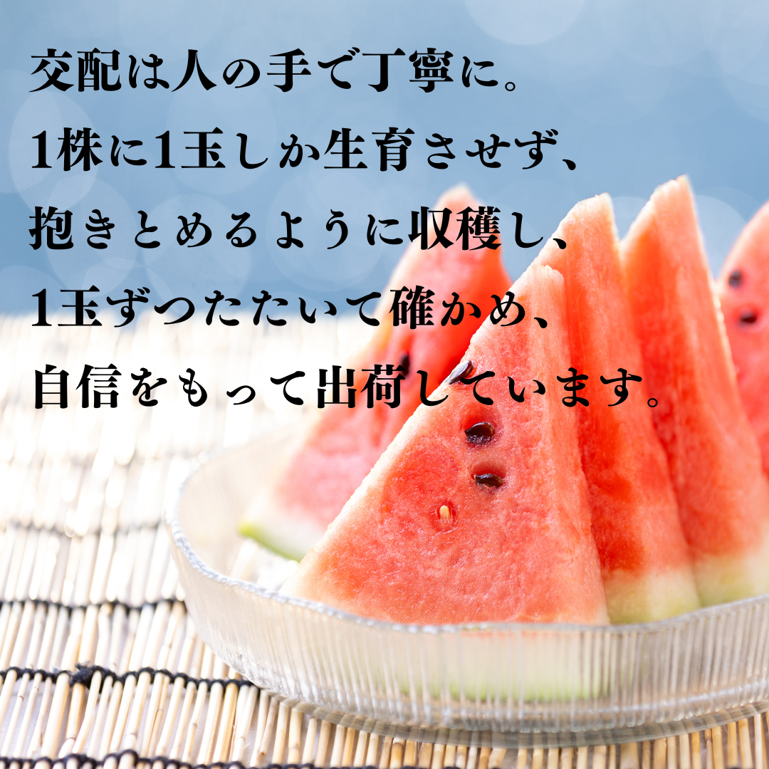 17K.とまり美人西瓜 4L