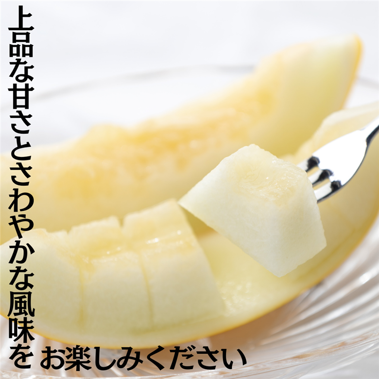 20K.湯梨浜クレオパトラⅡメロン5kg