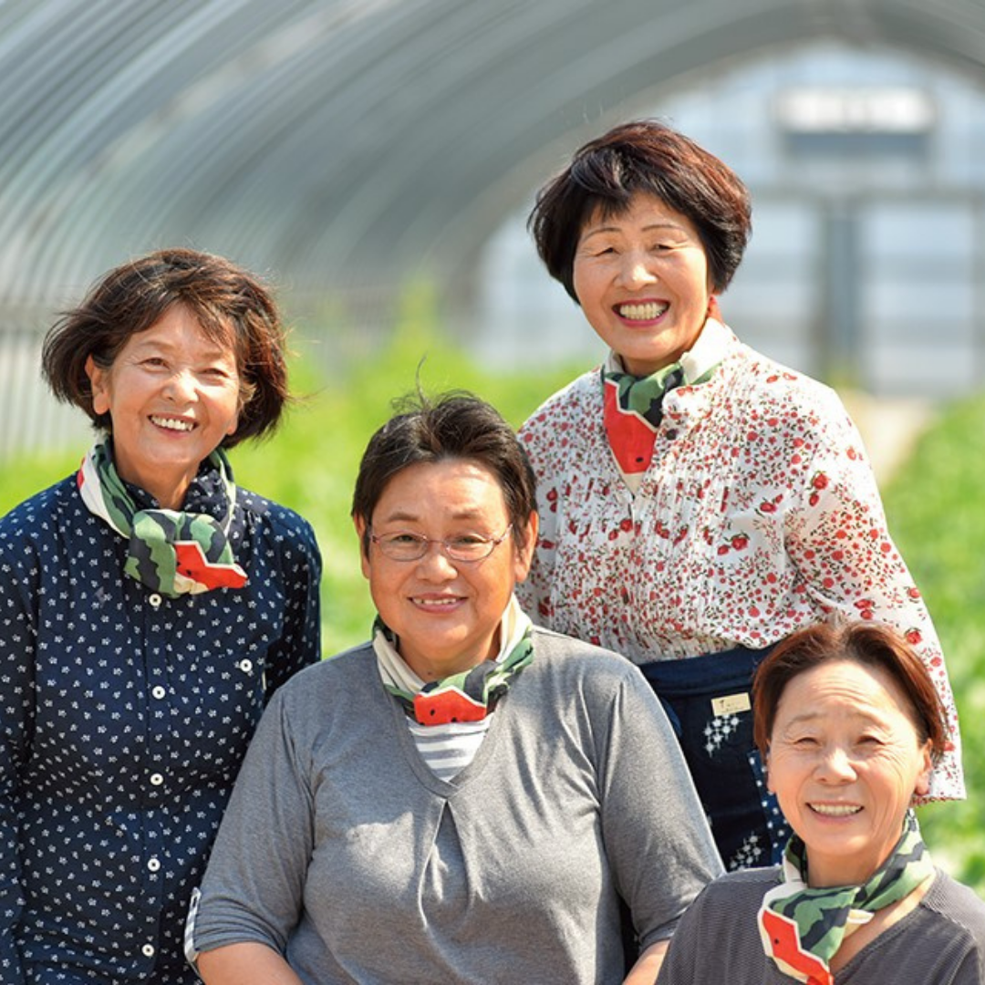 19K.とまり美人西瓜 2L