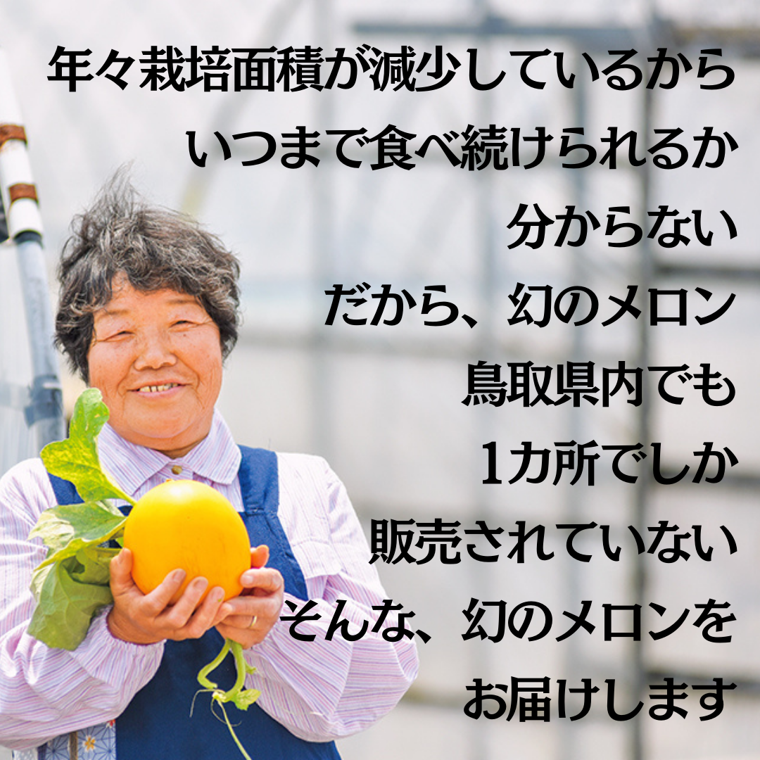 20K.湯梨浜クレオパトラⅡメロン5kg