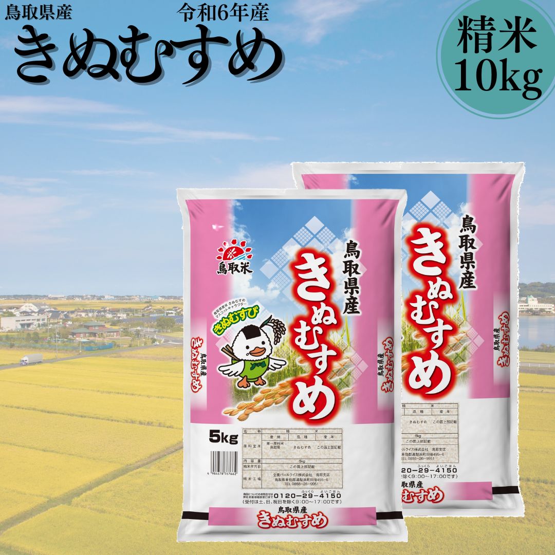102K.鳥取県産きぬむすめ◇精米10kg◇令和6年産