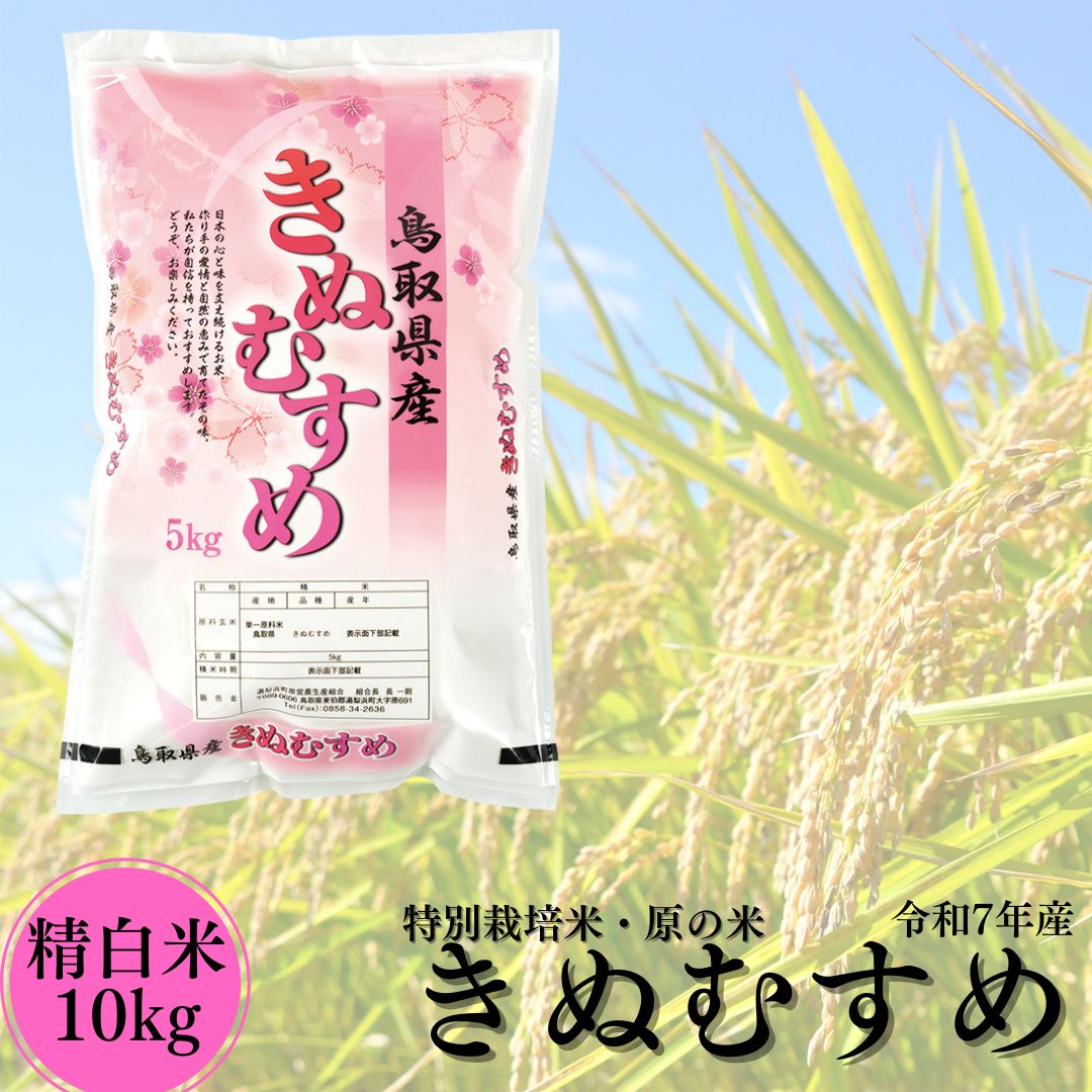104K.特別栽培米『原の米･きぬむすめ』◇精白米10kg◇令和7年産