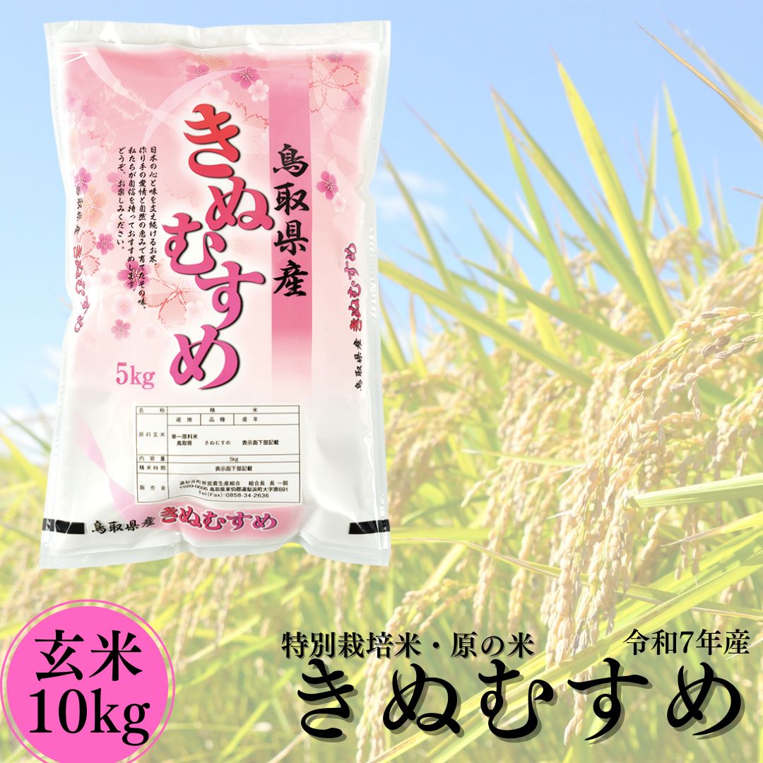 105K.特別栽培米『原の米･きぬむすめ』◇玄米10kg◇令和7年産