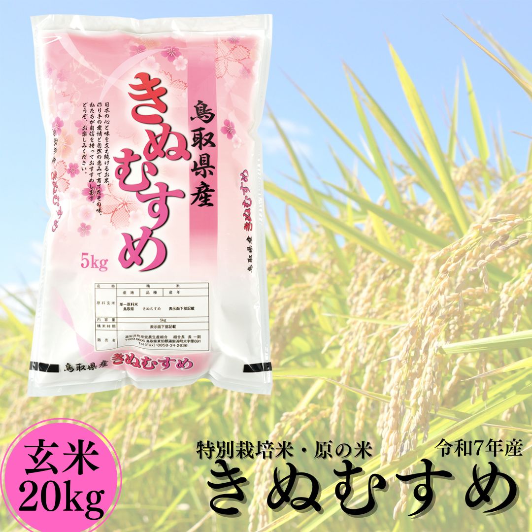 106K.特別栽培米『原の米･きぬむすめ』◇玄米20kg◇令和7年産