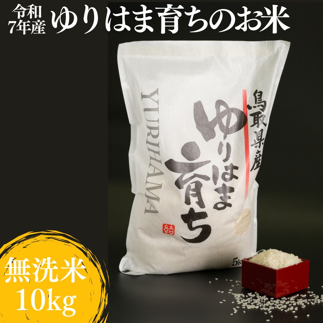 321K.ゆりはま育ちのお米◇無洗米10kg◇令和7年産