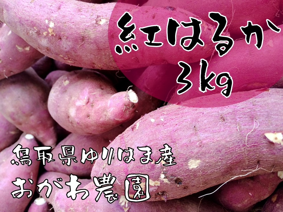 131K.おがわ農園 紅はるか3kg