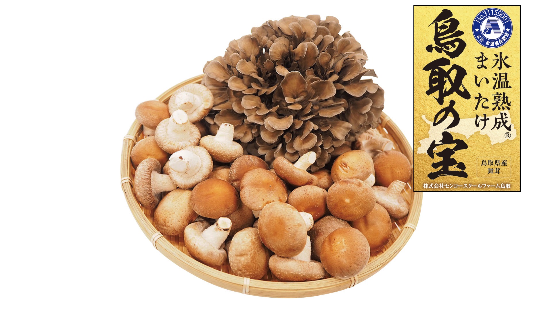 124K.氷温熟成舞茸『鳥取の宝』とどっさりしいたけの満ぷくセット
