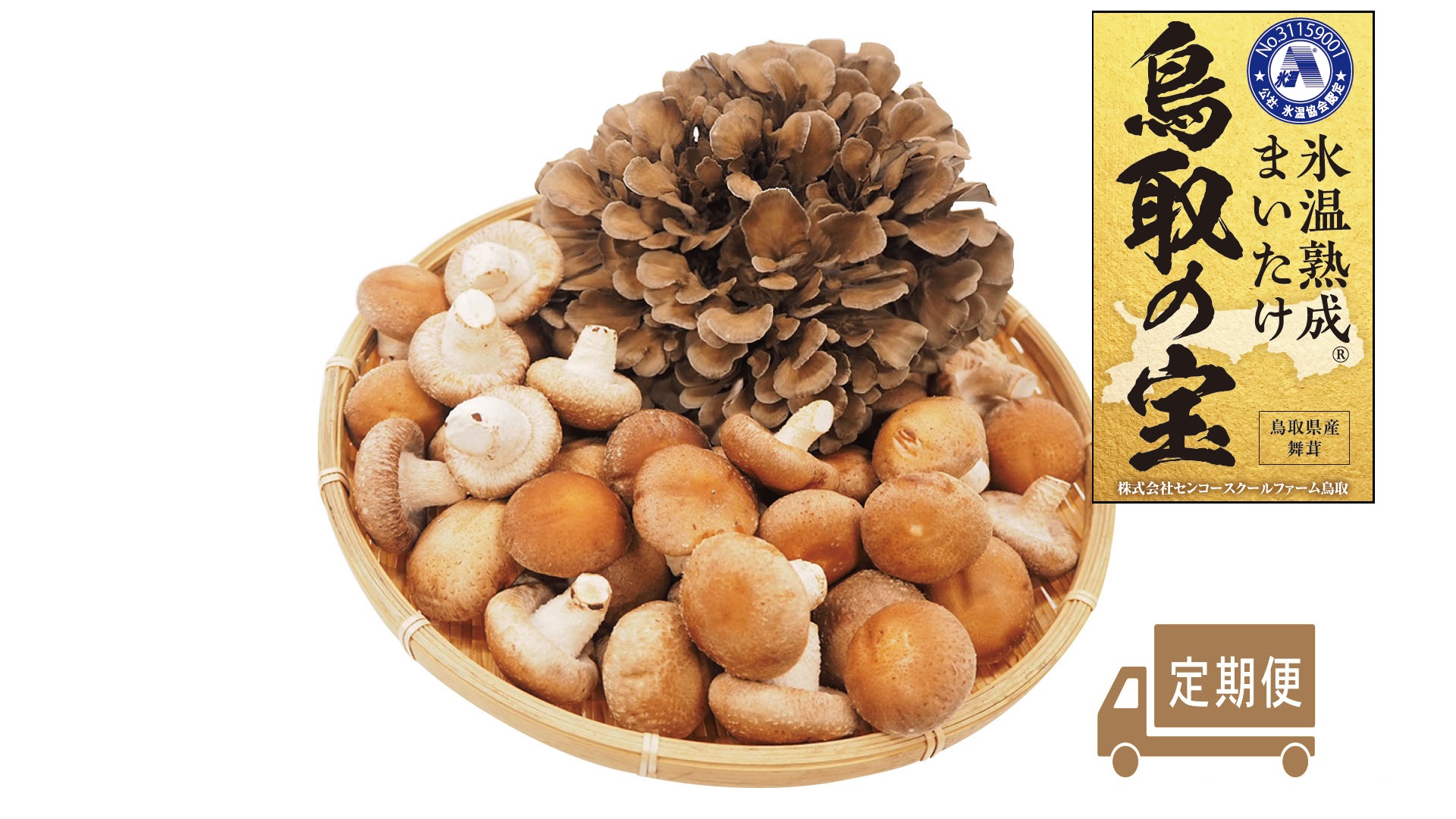 125K.氷温熟成舞茸『鳥取の宝』とどっさりしいたけの満ぷくセット〔定期便〕