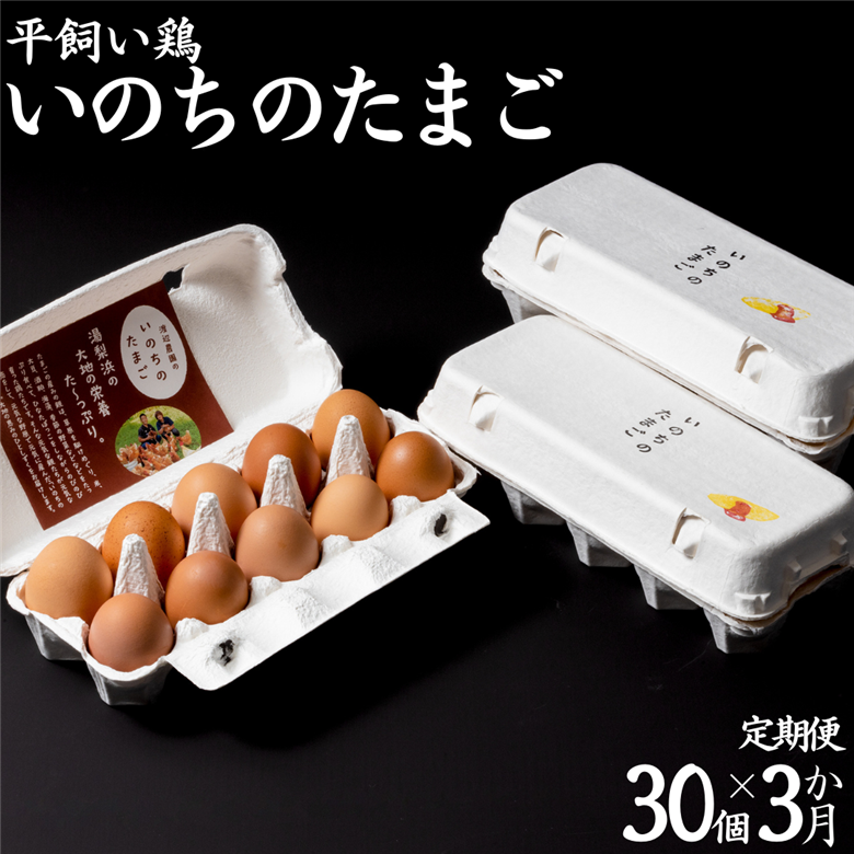 137K.平飼い鶏の『いのちのたまご』30個×3ヶ月〔定期便〕