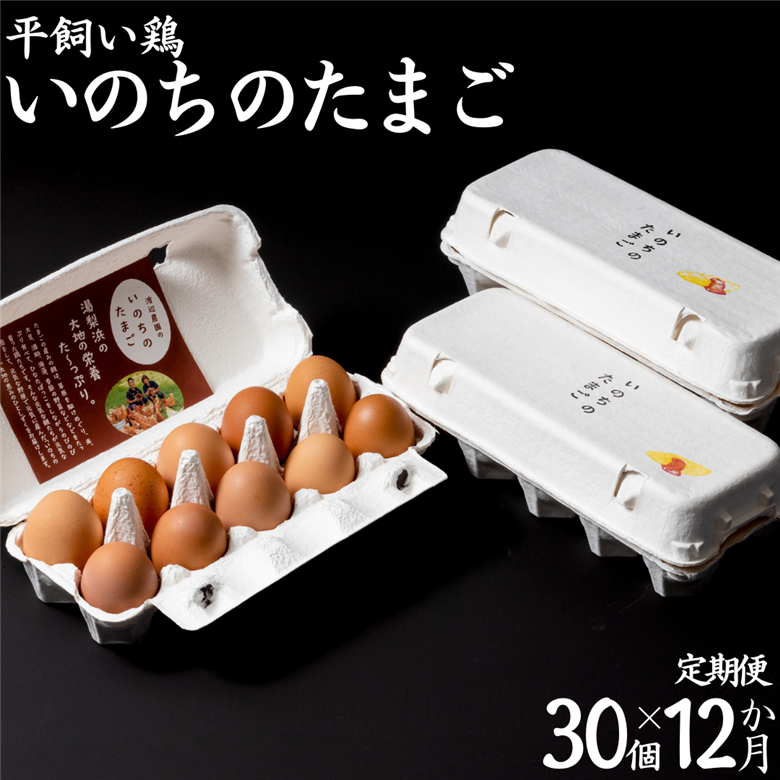 138K.平飼い鶏の『いのちのたまご』30個×12ヶ月〔定期便〕