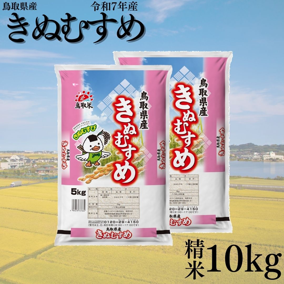 387K.鳥取県産きぬむすめ◇精米10kg◇令和7年産