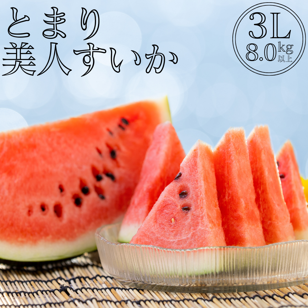 18K.とまり美人西瓜 3L