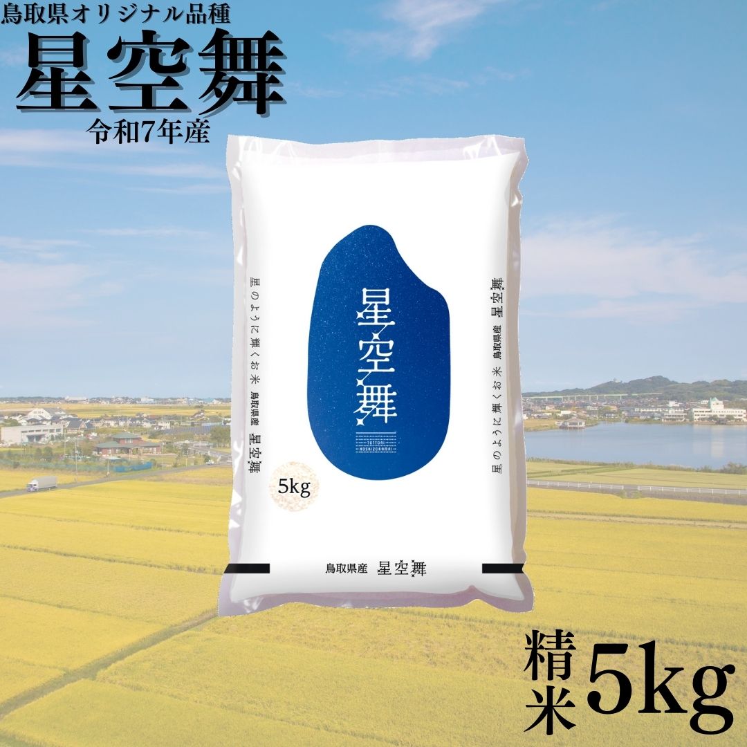 380K.鳥取県産星空舞◇精米5kg◇令和7年産
