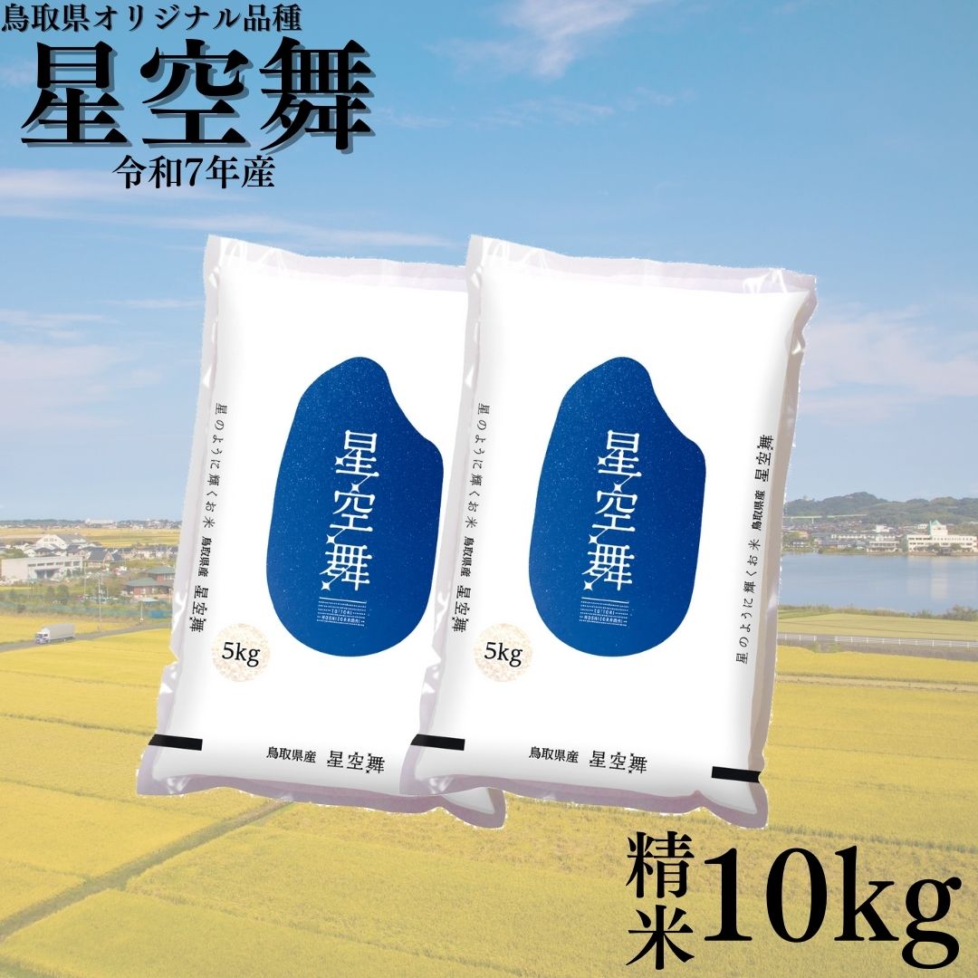 381KZ.鳥取県産星空舞◇精米10kg◇令和7年産