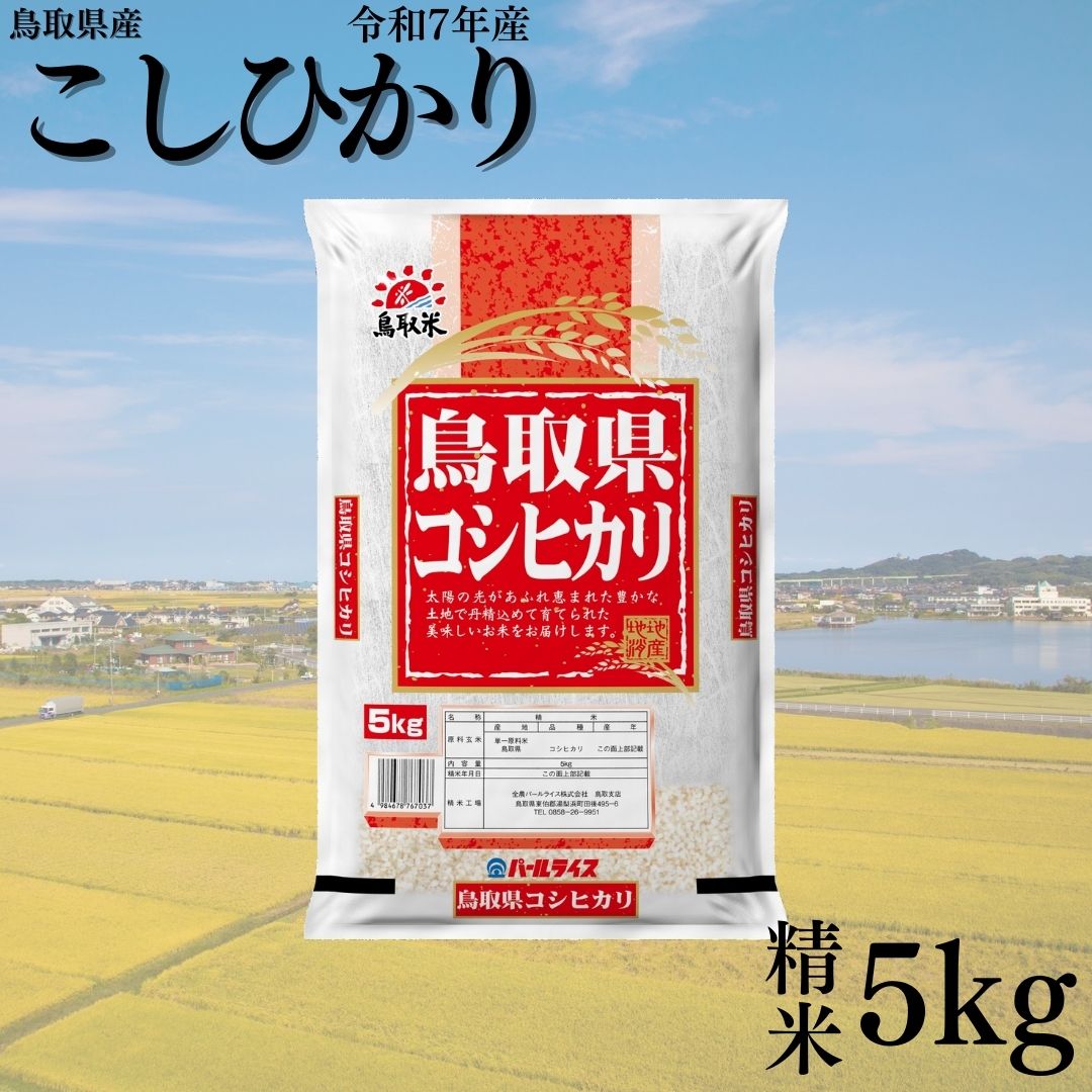 383KZ.鳥取県産こしひかり◇精米5kg◇令和7年産