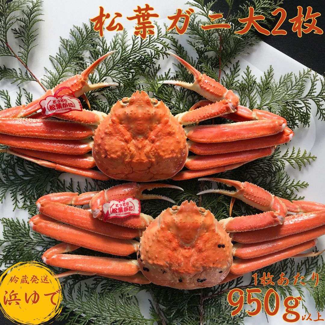 41K.■浜下商店■松葉ガニ大2枚〔浜ゆで〕