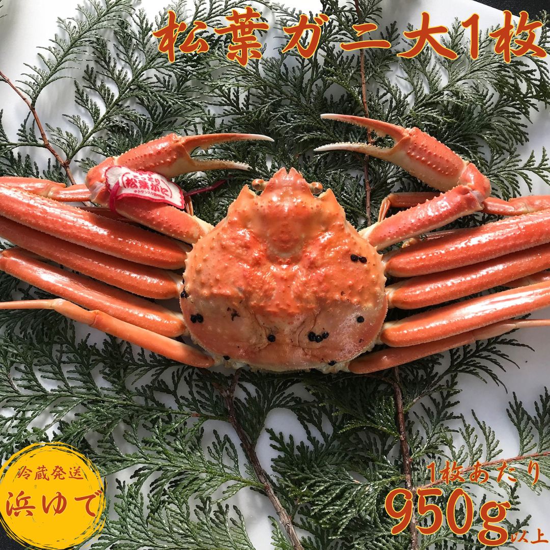 42K.■浜下商店■松葉ガニ大1枚〔浜ゆで〕