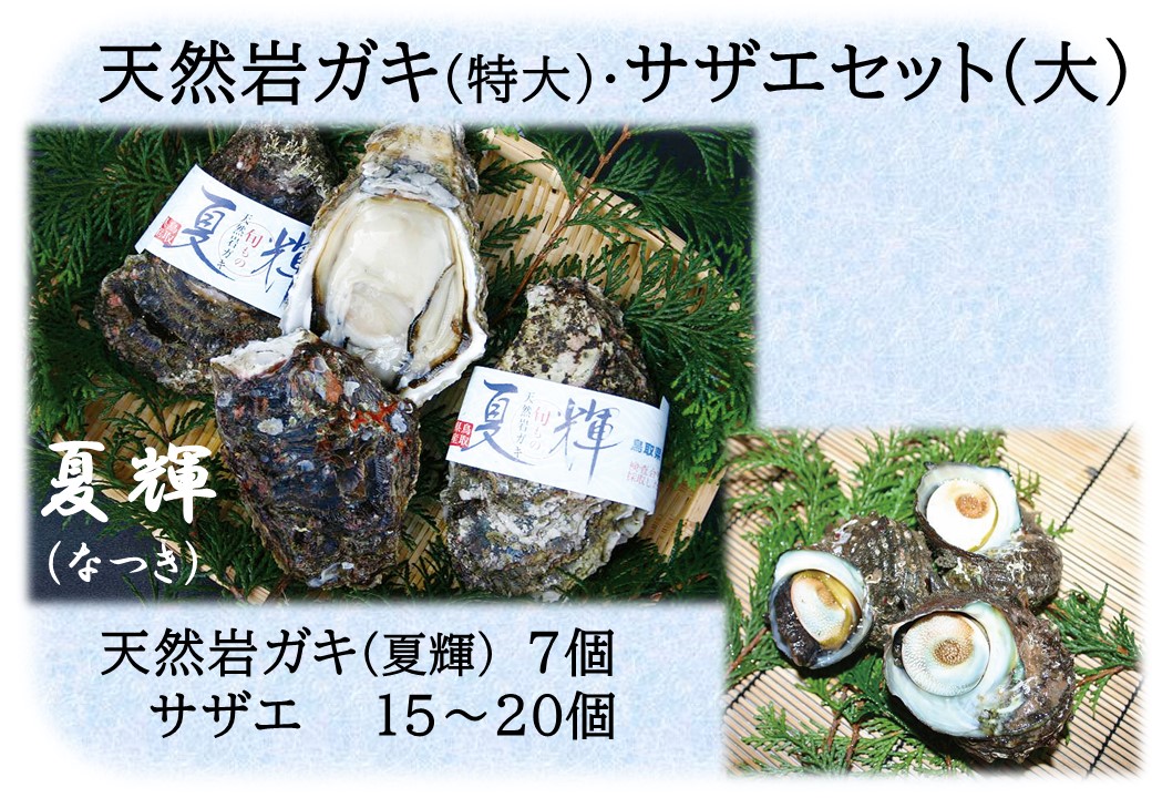 49K.◇夏輝ブランド◇天然岩ガキ〔特大〕･サザエセット〔大〕