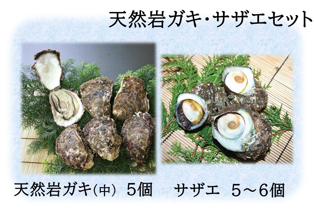 51K.天然岩ガキ･サザエセット