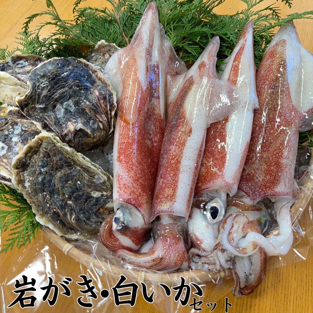 52K.■浜下商店■岩がき･白いかセット