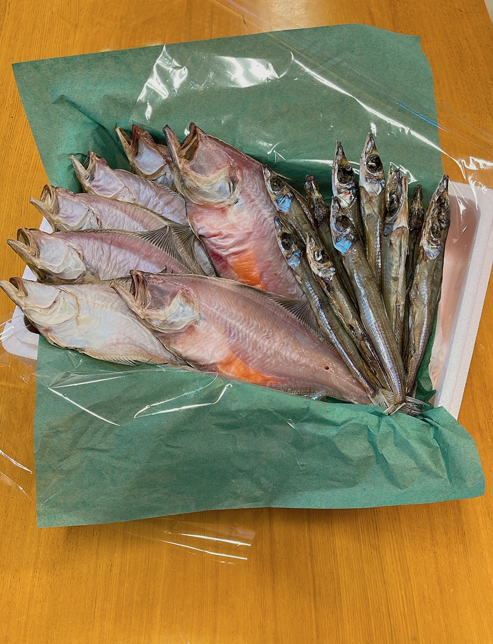 59K.■浜下商店■一夜干しセット〔小〕