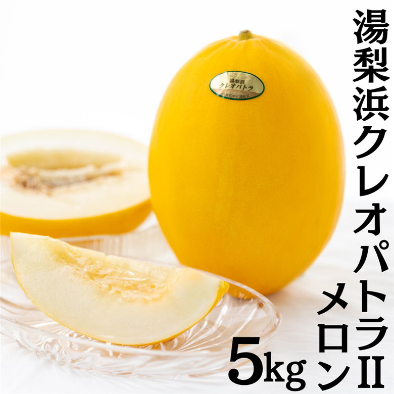 20K.湯梨浜クレオパトラⅡメロン5kg