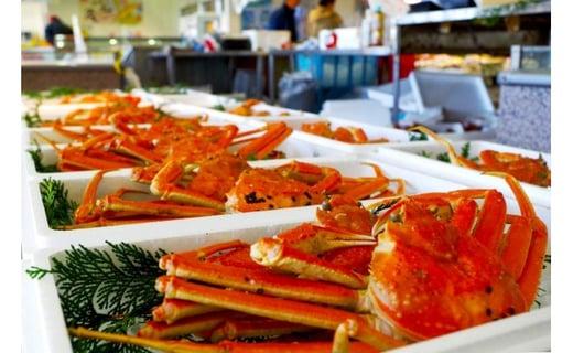 （訳あり）松葉ガニ（ボイル） 1枚（約500g）【年内配送】※着日指定不可※北海道、沖縄、一部離島への配送不可《ずわいがに　かに　カニ　蟹》