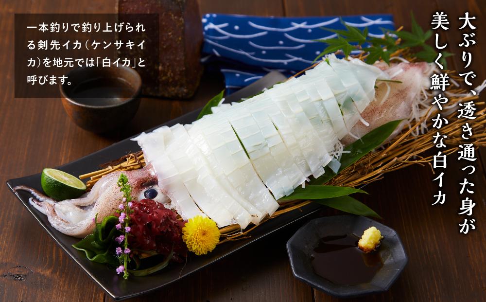 【先行予約 2026年6月以降発送】山陰直送 刺身用白イカ 700g（3～6杯）　※北海道、沖縄、一部離島への配送不可
