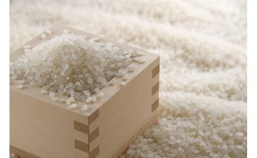 【定期便】5kg×12ヶ月　五ツ星お米マイスター特選米（鳥取県産）