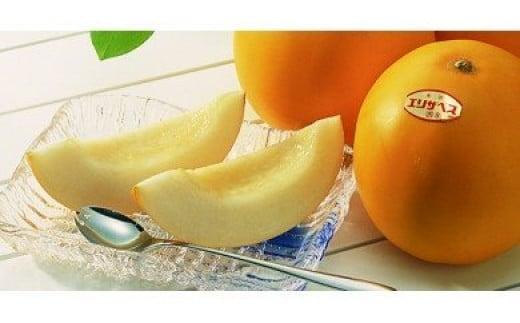 【先行予約】数量限定 鳥取県産 エリザベスメロン 4玉（2.4kg）