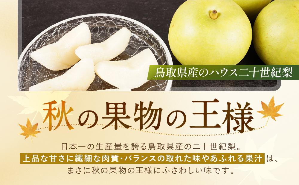 【先行予約】数量限定 鳥取県産梨 ハウス二十世紀梨 2kg（5～6玉）