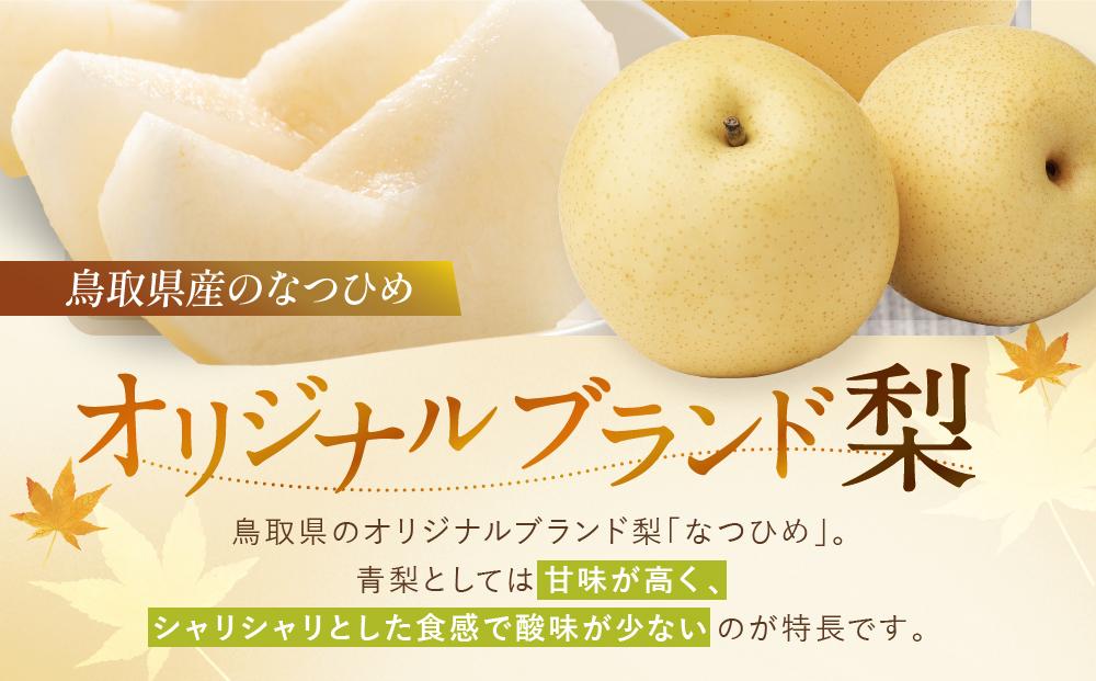 数量限定 鳥取県産梨 なつひめ 5kg（12～14玉）